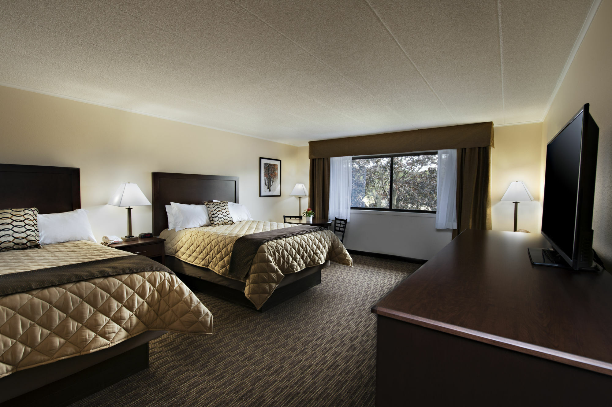 Chestnut Mountain Resort Galena Exterior photo